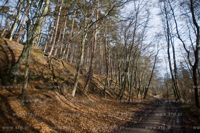 Gdansk. Oliwa, Trojmiejski Park Krajobrazowy. Sciezka...