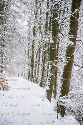 Sniezny zimowy dzien nad jeziorem Otominskim.
21.01.2016
fot....