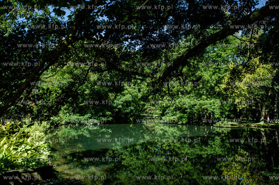Gdańsk. Park Oliwski. Konferencja prasowa przedastawiająca...