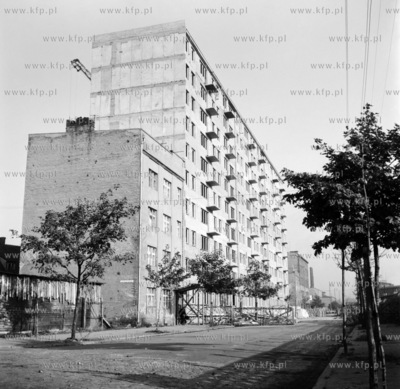 Gdynia, domy na ul. Jerzego Waszyngtona. 1964
z0003444
Fot....
