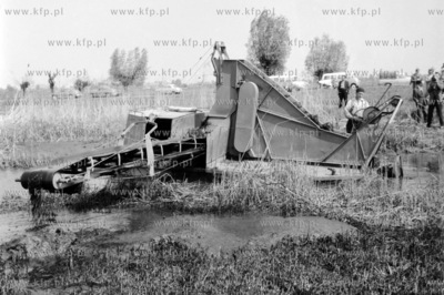 Prace melioracyjne na Żuławach. 1965
0006454z_zulawy
Fot....