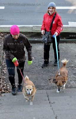 Gdynia. Ogolnopolskie Towarzystwo Ochrony Zwierzat...