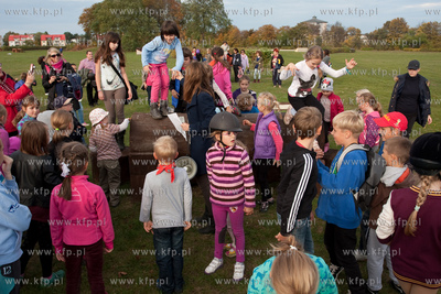 Szkolka jazdy konnej Galoopka zorganizowala dla swoich...