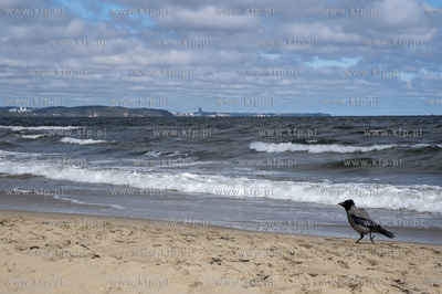 Gdańsk Brzeźno. Wejście na plażę nr 41.25.04.2025...