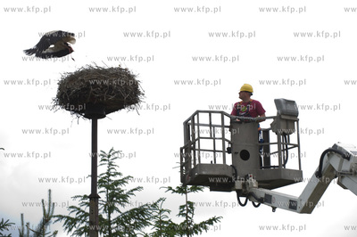 Jak co roku pracownicy Grupy ENERGA wraz z ornitologami...