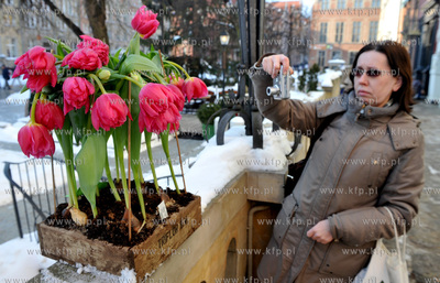 Gdansk, Dlugi Targ. Otwarcie wystawy Ogrod Kulturalny...