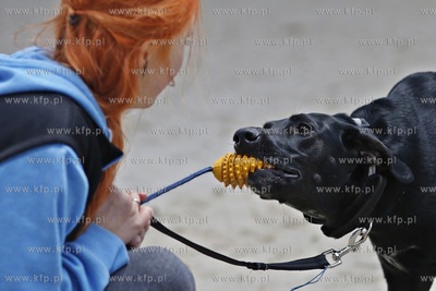 Sopot. Hipodrom. Psie zawody o Puchar Planet Pet Society...