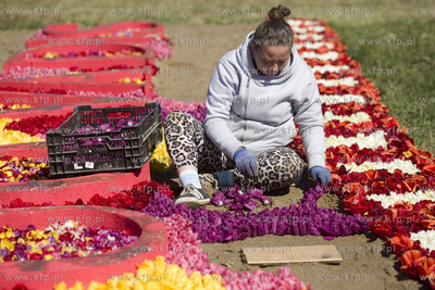 Mokry Dwór koło Pruszcza Gd.  Przygotowania do Żuławskiego...