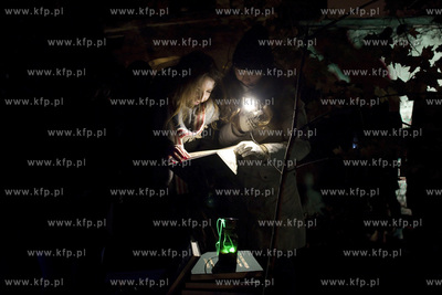 Biskupia Górka w Gdańsku.  Festiwal NARRACJE #8 "Królestwo...