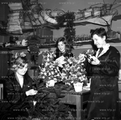 Strojenie swiatecznych choinek w kwiaciarni. (0000459z)...