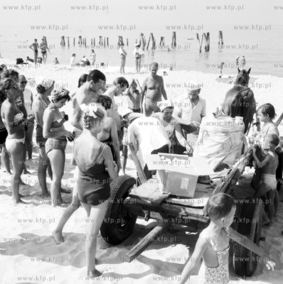 Obwozna sprzedaz napojow chlodzacy i jedzenia z konskiej...