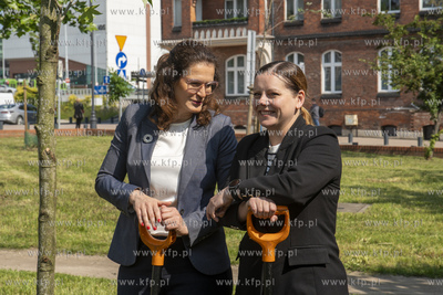 Na skwerze Daszyńskiego w Gdańsku posadzono dwa ambrowce...