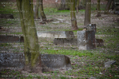 Gdansk. Teren bylego cmentarza ewngelickiego w Ujescisku,...