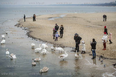 Sopot. Molo. Niedzielni spacerowicze, ktorych nie odstrasza...