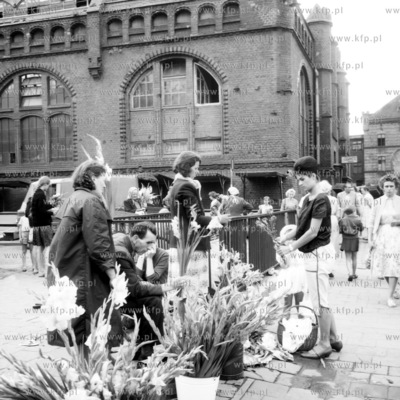 Sprzedaz kwiatow przed hala targowa w Gdansku na rogu...