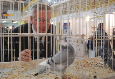 Hale wystawiennicze Miedzynarodowych Targow Gdanskich....