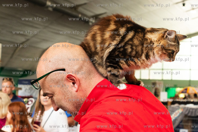Międzynarodowa wystawa kotów rasowych "Koty na Hawajach"...