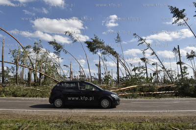 Skutki wichury na Pomorzu. Szosa  pomiędzy miejscowościami...