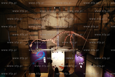 Londyn. Muzeum Historii Naturalnej.
07.10.2011
fot....