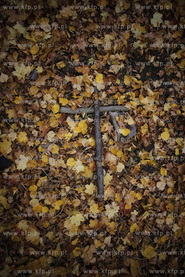 Gdynia Kolibki. Cmentarz.
24.10.2012
fot. Krzysztof...