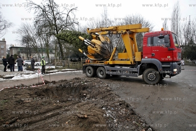 Sopot. Wykopywanie drzew i krzewow  na placyku przy...