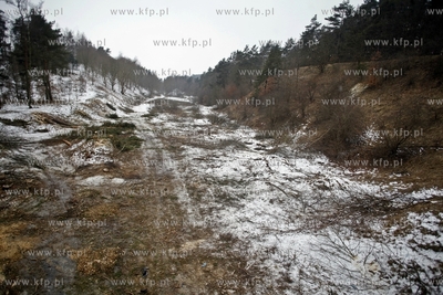 Gdansk. Wycinka drzew na trasie budowanej Kolei Metropolitalnej...