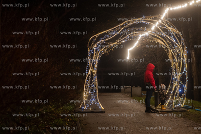 Iluminacje świąteczne w Parku Oliwskim. 05.12.2024...