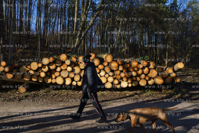 Trójmiejski Park Krajobrazowy. Lasy Oliwskie. Nz....