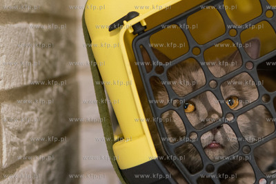 Gdańsk, Budynek Krewetka. Nowy Punkt Informacyjny...