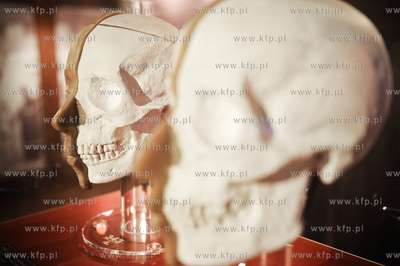 Gdansk. Spichlerz Blekitny Baranek. Oddzial Muzeum...