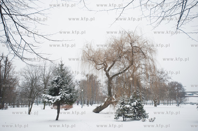 Gdansk. Park Stefensa wzdluz Al. Zwyciestwa.
20.03.2013
fot....