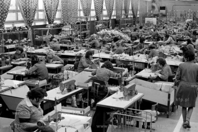 Linia produkcyjna w Wejherowskich Zakładach Przemysłu...