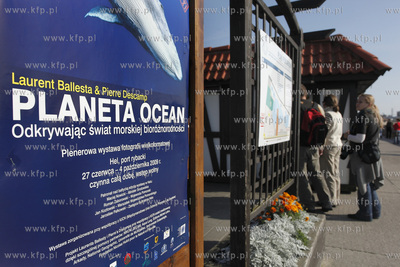 Hel po sezonie. Fokarium Stacji Morskiej Instytutu...