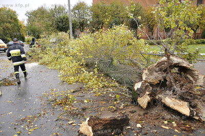 Polamane drzewa, przygniecione auta, zniszczone dachy...