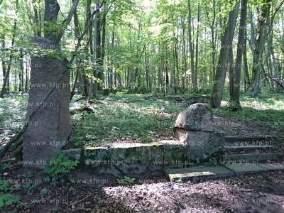 Leśny cmentarz koło Markowa na Warmii. Miejsce, gdzie...