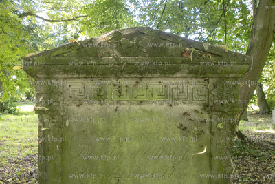 Cmentarz mennonicki z II połowy XVIII wieku w Stawcu...