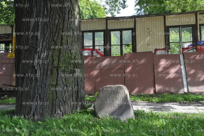 Pośrodku ulicy Jaskowej Doliny, rośnie rozłożysty...