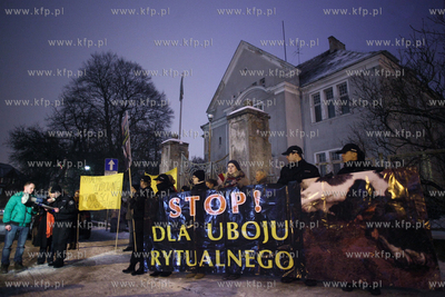 Manifestacja młodziezowki Ruchu Palikota, Partii Zieloni...