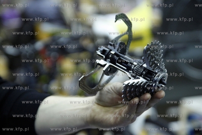 Hala AWFiS w Gdansku. Festiwal rowerowy. Nz. przekroj...