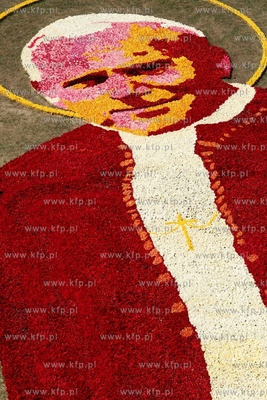 Mokry Dwor. Zulawski Tulipan. Z okolo jednego miliona...