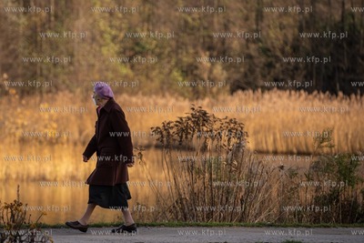 Jesień w Parku R. Reagana. 25.11.2020 / fot. Anna...