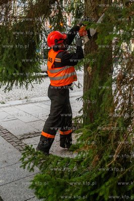 Gdansk. Dlugi Targ. Operacja stawiania swiatecznej...