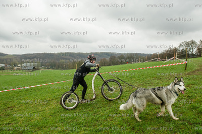 Przywidz. Puchar Polski w Wyscigach Psich Zaprzegow.
Nz...