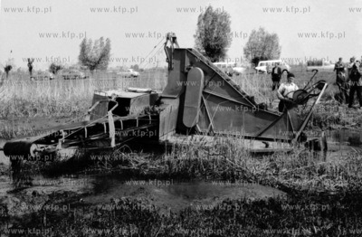 Prace melioracyjne na terenie Zulaw. 1963
z0006450
Fot....