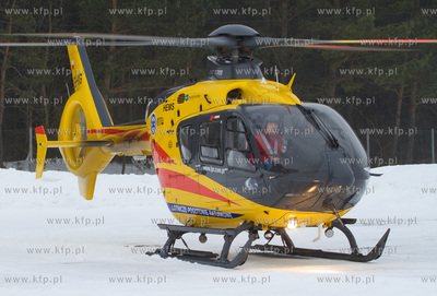 Gdansk, Rebiechowo. W dniu dzisiejszym przylecial nowy...