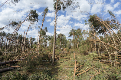 Skutki nawałnicy, która z piątku na sobotę przeszła...