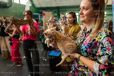 Międzynarodowa wystawa kotów rasowych "Koty na Hawajach"...