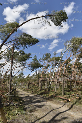Skutki wichury na Pomorzu. Orlik na Kaszubach w gminie...