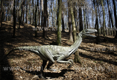Gdansk. Nowo otwarty park dinozaurow w oliwskim zoo....