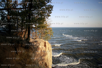 Gdynia Orlowo. Klif. 25.11.2011 fot. Krzysztof Mystkowski...